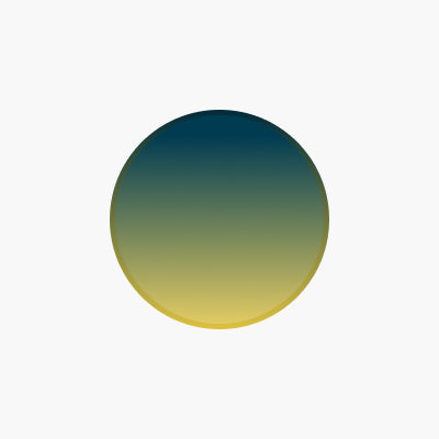 Selected Lens Option